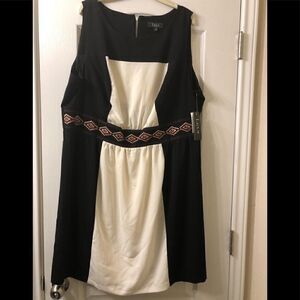 Lux II womens dress size 20W